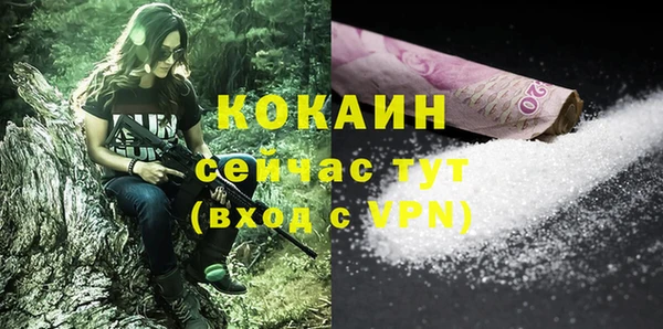 дурь Бородино