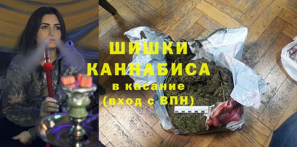дурь Бородино