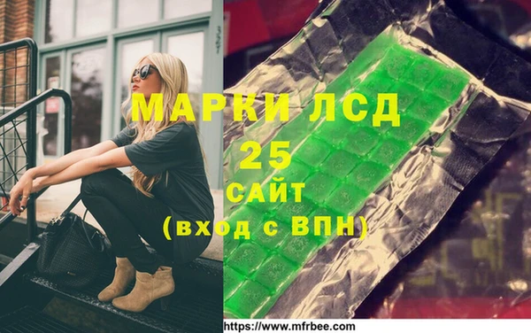 дурь Бородино