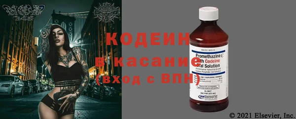 дурь Бородино
