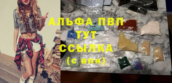 дурь Бородино
