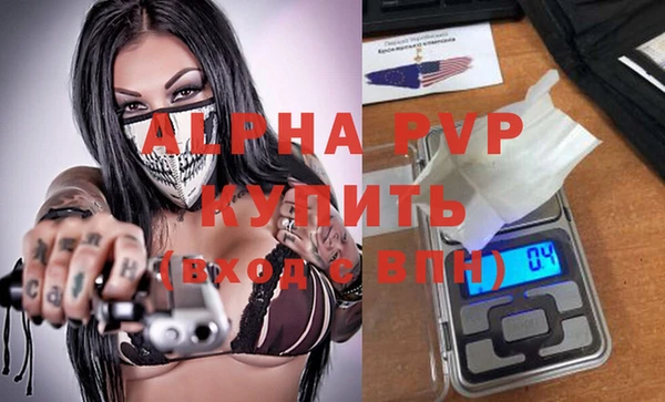 дурь Бородино