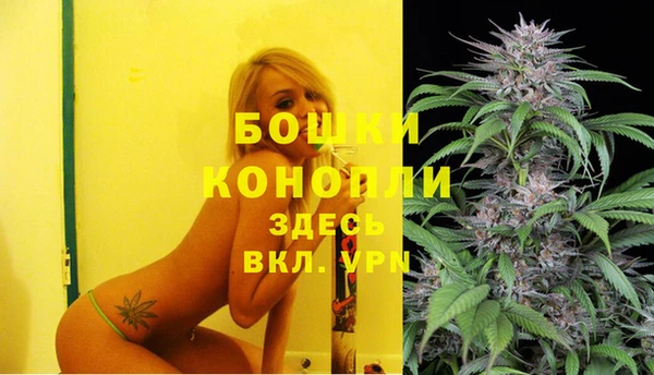 дурь Бородино