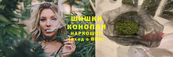 дурь Бородино