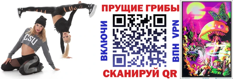Галлюциногенные грибы Psilocybine cubensis что такое Венёв